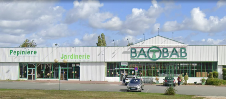 Baobab